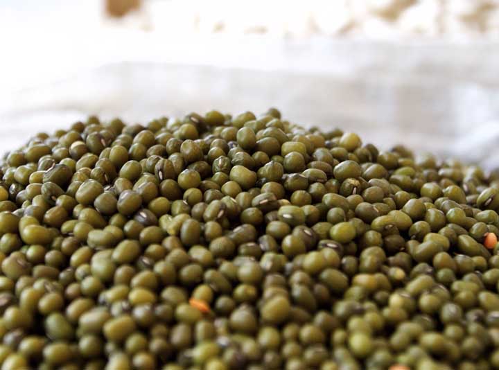 organic food christchurch