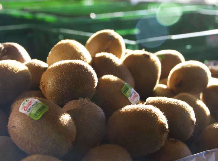 organic fruit christchurch
