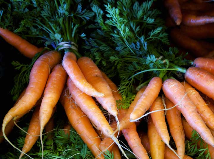 organic produce christchurch piko